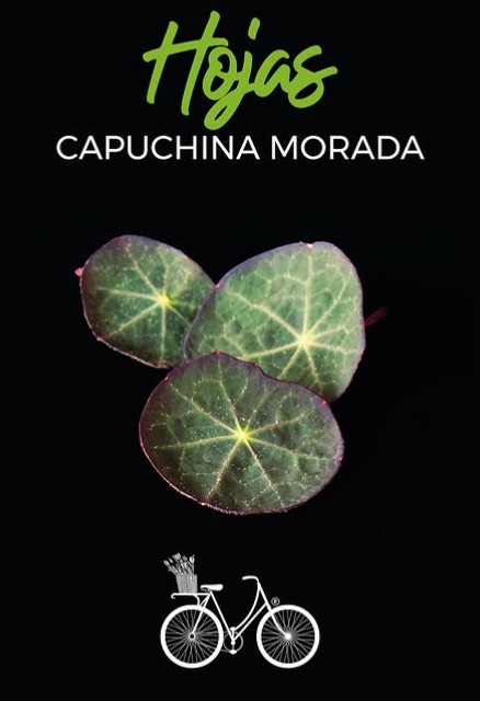 Hojas de Capuchina