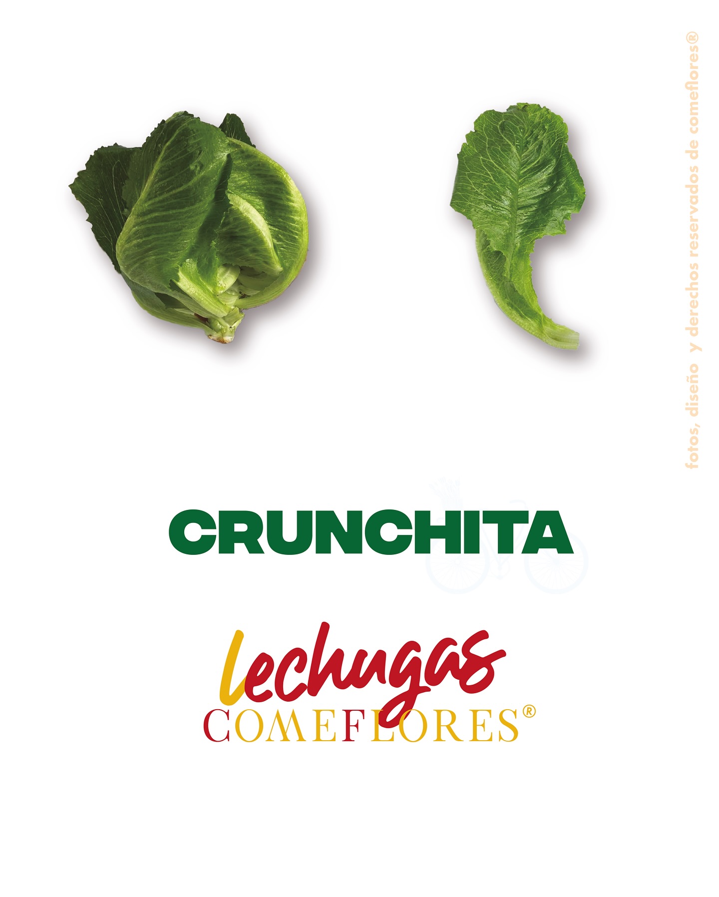 Crunchita