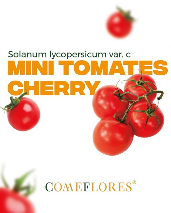 Mini Cherrys