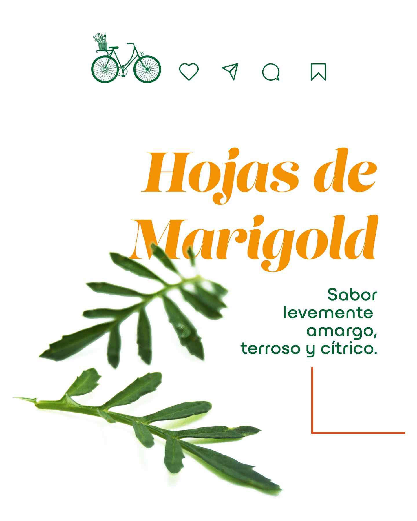 Noticia Comeflores