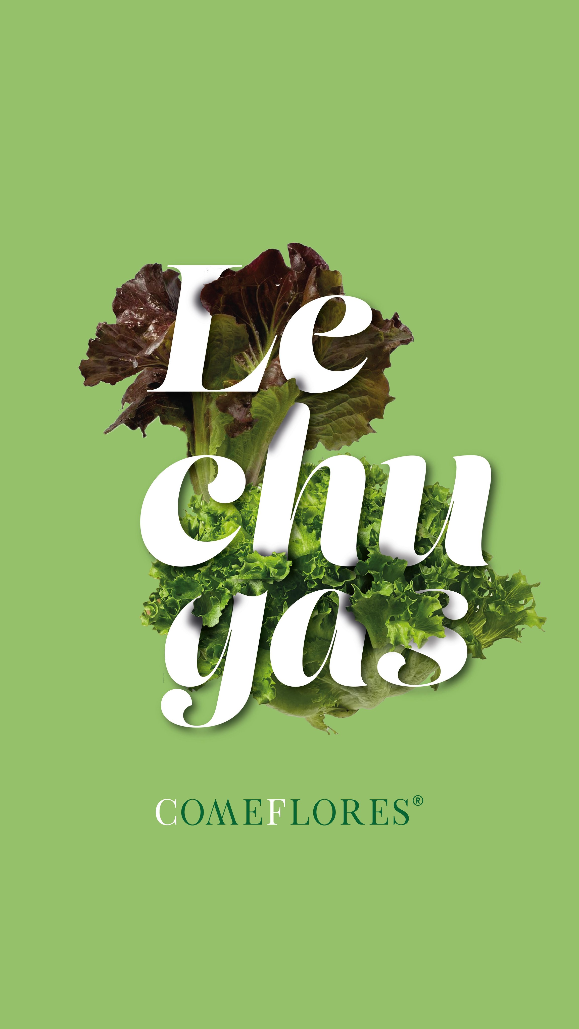 Lechugas Póster