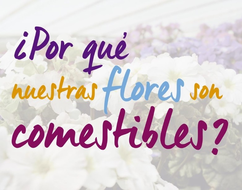 Hojas de Marigold